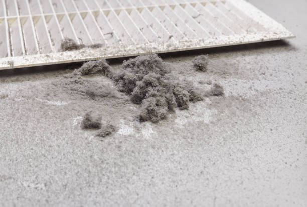 Best Dryer Vent Cleaning in Valencia, NM